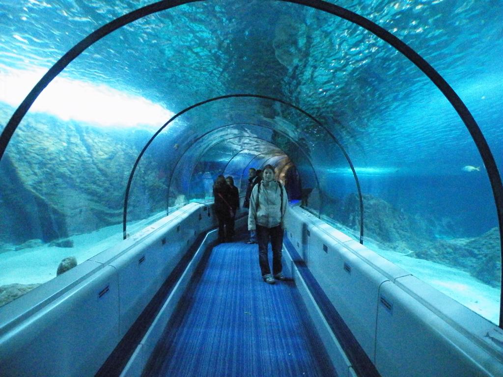 Tunnel de Requins
